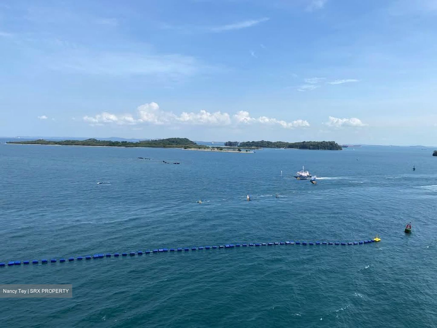 The Oceanfront @ Sentosa Cove (D4), Condominium #555420541